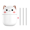 Kitty Humidifier
