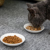 Meow Plates